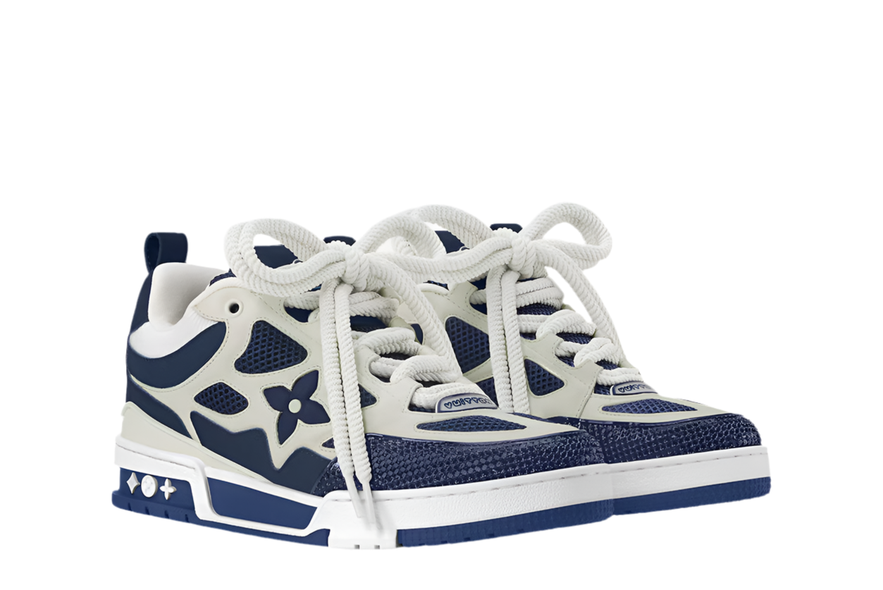 Louis Vuitton skate