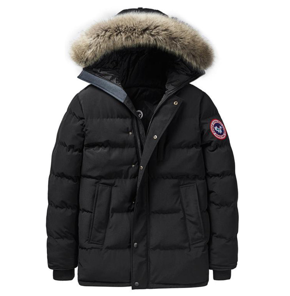 Canada Goose